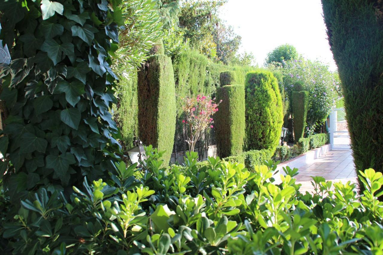 El Jardin De La Abuela Villa Granada Exterior photo